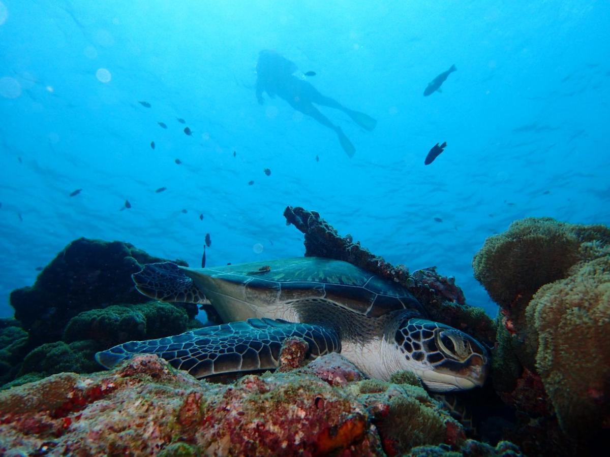 Manta Reserve Maalhos  Exteriör bild